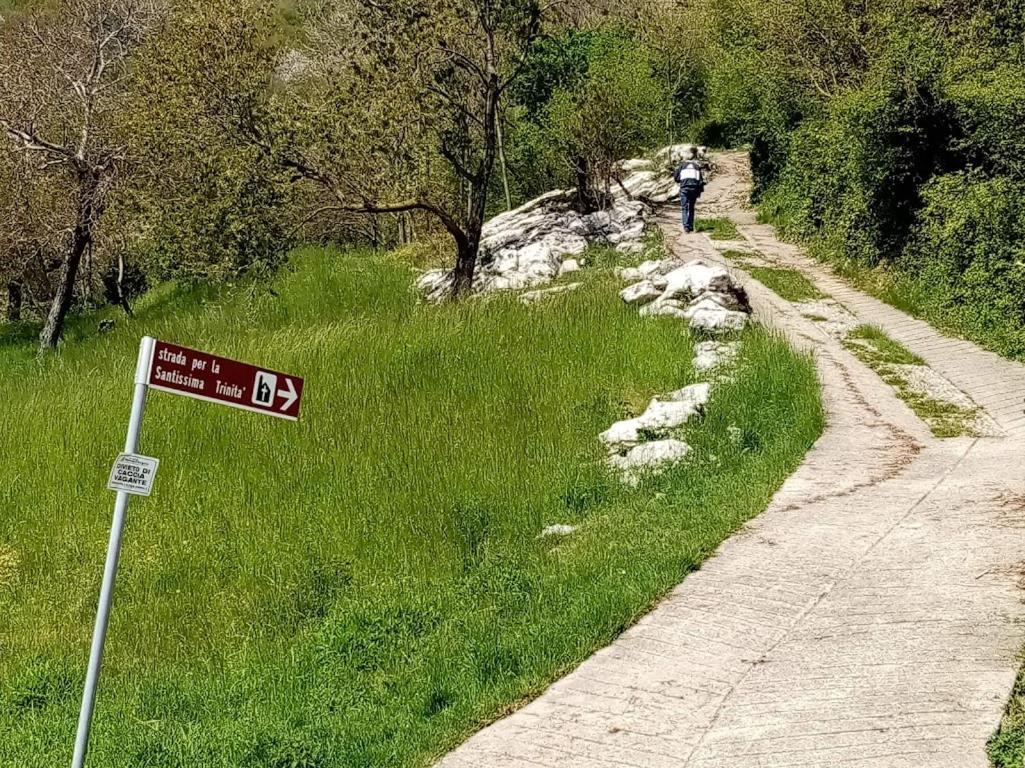 Hiking Escape Parzanica Villa Exteriör bild